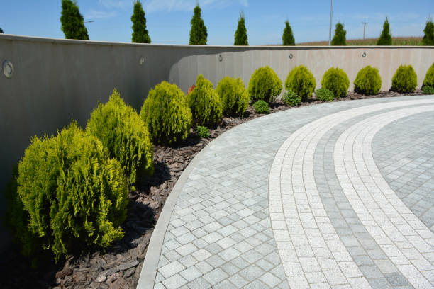 Best Driveway Repair Near Me  in Parksdale, CA